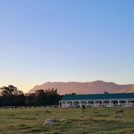 Blue Mountain Farm Lodge, Farm & Dam House Swellendam Exterior photo